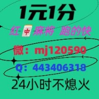 无押金通知24小时1-2块1分红中麻将微信群